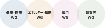 「健康・医療WG」「エネルギー・環境WG」「雇用WG」「創業等WG」