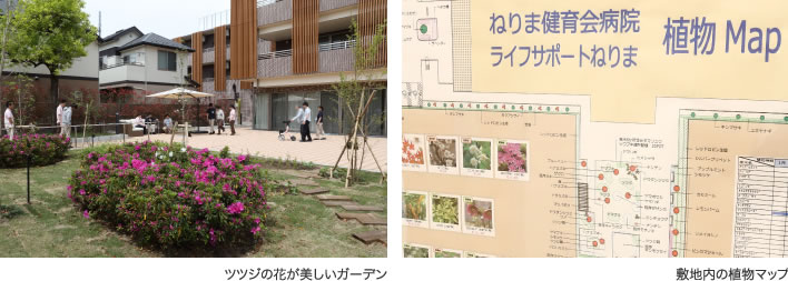 ツツジの花が美しいガーデン　敷地内の植物マップ