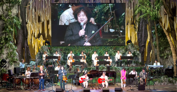 演奏の様子