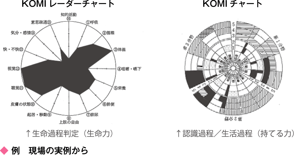 例 現場の実例から KOMIレーダーチャート KOMIチャート