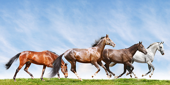 Vol.338 2026年 年頭所感