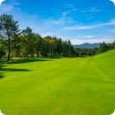 ゴルフ(RIZAP GOLF、ステップゴルフ)